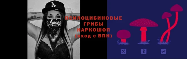 таблы Алексеевка