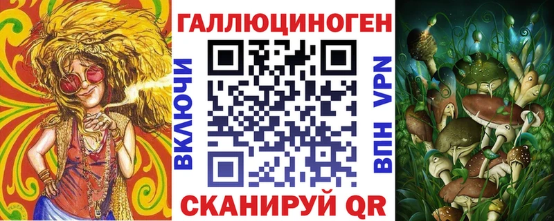 купить  сайты  Арамиль  Галлюциногенные грибы Psilocybe 
